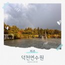제주 덕천 연수원 : 아이랑 동쪽 조식 포함 가성비 숙소 패밀리룸/스탠다드룸 후기 및 예약 방법