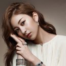 935 이미지