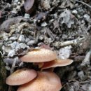 지경경로당 이미지