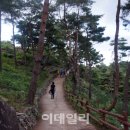 그리고숲