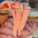 분당 수내역횟집 만선항, 방어회 맛집