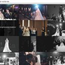 로기포토