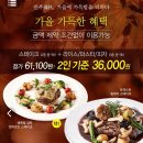 도하메드 이미지