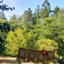 표선하늘의원 이미지