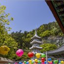 청학사 - 1344 | 청학사
