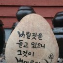 무궁화 꽃이 피었습 이미지