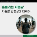 흔들리는 자존감에 대하여_자존감 안정성