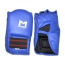 코브라 권투 체육관 이미지