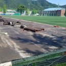 연천중고등학교 이미지