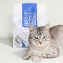 펫수니