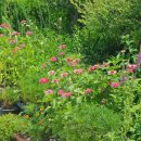 양지리 농장 이미지