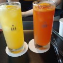 카페플렌트