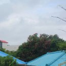 세화약국 앞 이미지