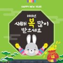 대성청과 이미지