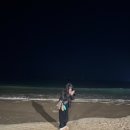 THECOOLEST HOTEL | 2026년 새해 부산여행 송정 해돋이명소 일출명소추천 해뜨는 시간 부산 더쿨리스트호텔 해돋이 숙소추천...