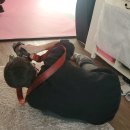 사하구-57 이미지