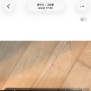 먼투프