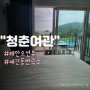 팔도여관 | 태안 오션뷰 펜션 애견 동반 숙소 청춘여관(용난굴)