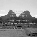 에이치포레스트