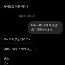 나무도마바이헤이진 이미지