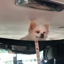도계체육공원 테니스장 이미지