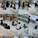 원퍼피 | 송파강아지분양 원퍼피는 어떤 곳인가요?