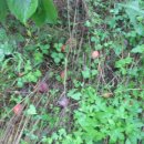 지인농장 이미지