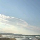 신화 행정사 사무소 이미지