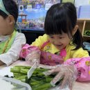 👩‍🍳찬솔반👨‍🍳 갓물김치 담그기🥬 이미지