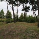 대전청사새롬어린이집 이미지