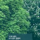 글쓰기로 브랜딩, 브런치 작가 되기 이미지