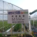 미성농장 이미지