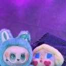 찌꼬뽀꼬 연남점2 | 홍대 라부부 인형뽑기 ㅣ 내돈내산 후기