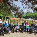 서천 장미공원 이미지