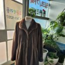 세이메드 이미지