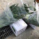 서구노인복지관(15) 이미지