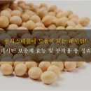레시틴