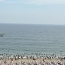 내가 조선의 국밥이다(그랜드터미널점) | 부산 아기랑 갈만한 곳 , 엄용백돼지국밥 , 해운대암소갈비집 , 그랜드조선부산 , 씨라이프, 깐깐한여니씨