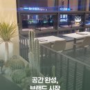 펠리체빈(Felice bean) 이미지