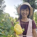 리젠트 파크 로즈 가든 후기 &amp; 영국 자본주의 이면 프라이빗 가든