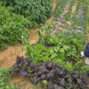 해영농장 이미지