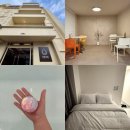 흥덕초교 | 청주 숙소 단밤호텔 운리단길 여행 카페투어에 최적