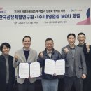 대영개발 이미지