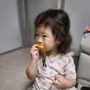 파란손 식판