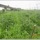 미실농장 이미지