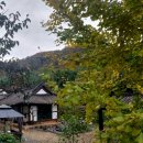 숲속의 집 이미지