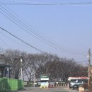 [경기 평택] : 진위천 유원지 숯불 삼겹살 후기 (비장한 하루)