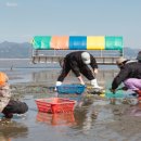 왕산어촌체험휴양마을 이미지