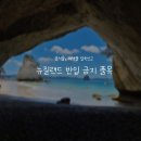 [뉴질랜드]이것 모르면 공항에서 벌금 맞아요::입국 제한 품목 & 음식물 반입 총정리