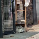 펜타메이드 | 한해(not래퍼)의 절반을 보내며. . .